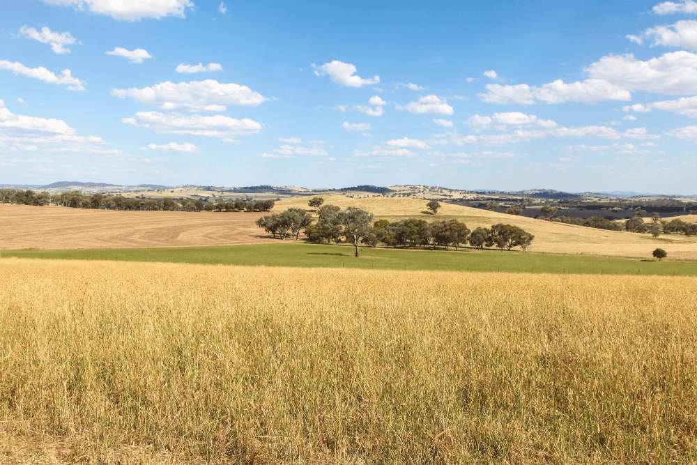 Advertising Boorowa